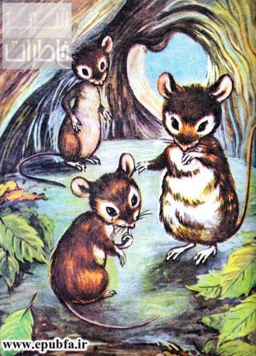 داستان کودکانه-وحشت در جنگل-ایپابفا (6).jpg